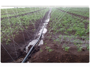 PE農田灌溉管